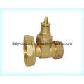 Brass Pump Gate Valve Without Handle Wheel (AV4031)